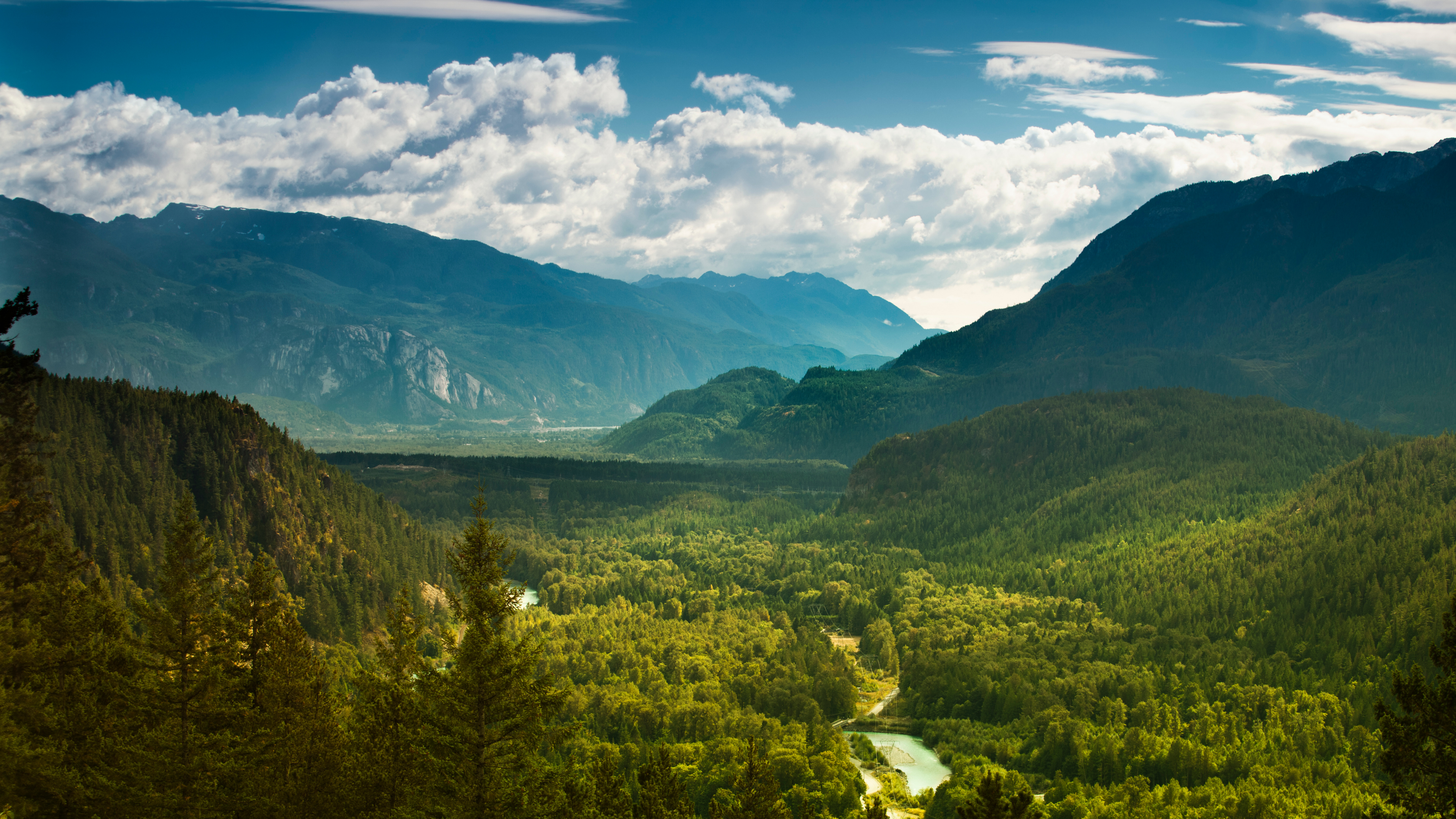 Forêt